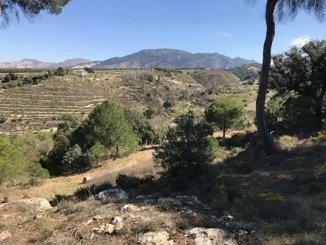 Grundstücke zum Verkauf in La Zubia