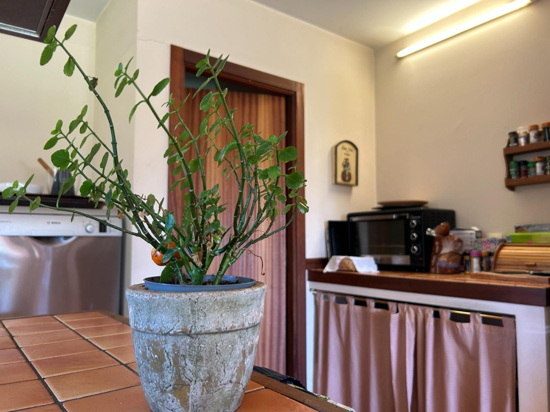 Casa o xalet en venda en Ames amb Terrassa