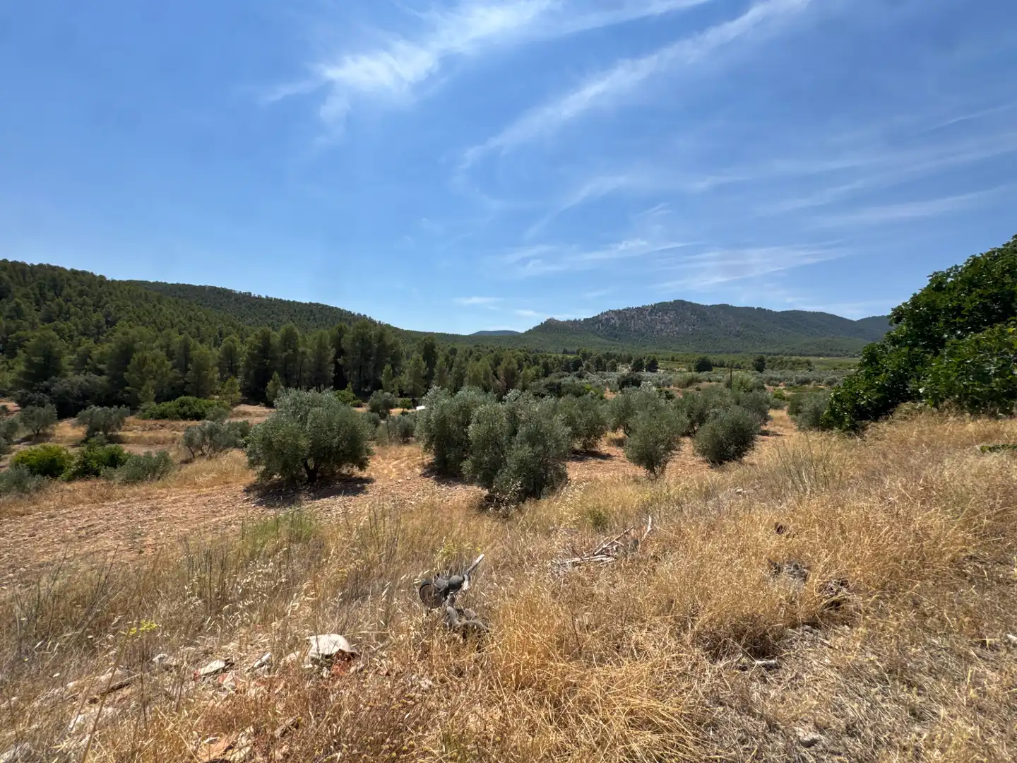 Rural land for sale in N/A, imagen 33