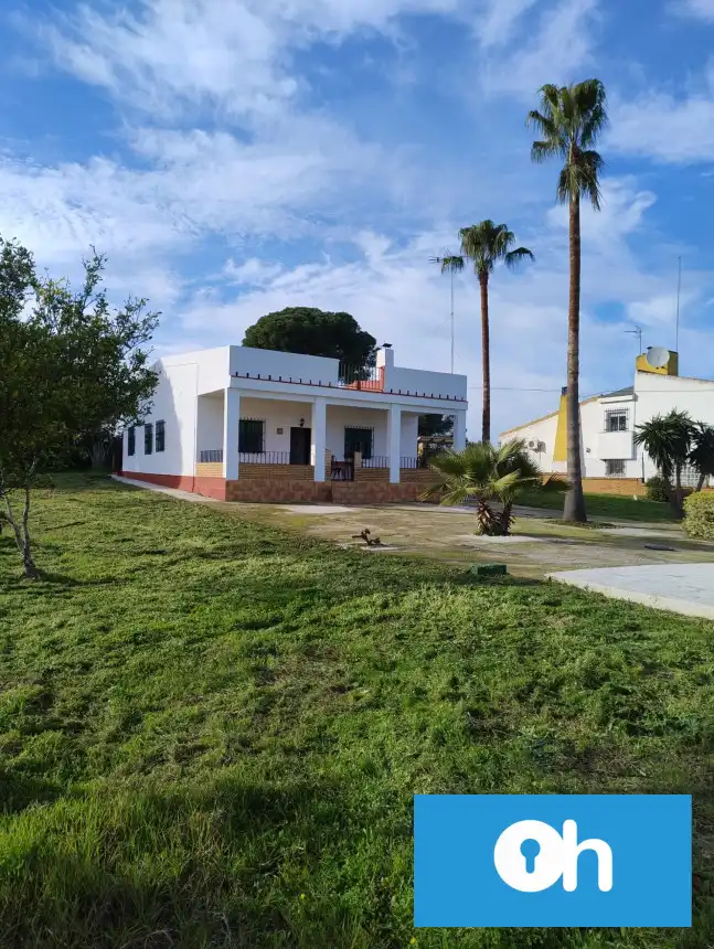Vista exterior de Finca rústica en venta en Bonares