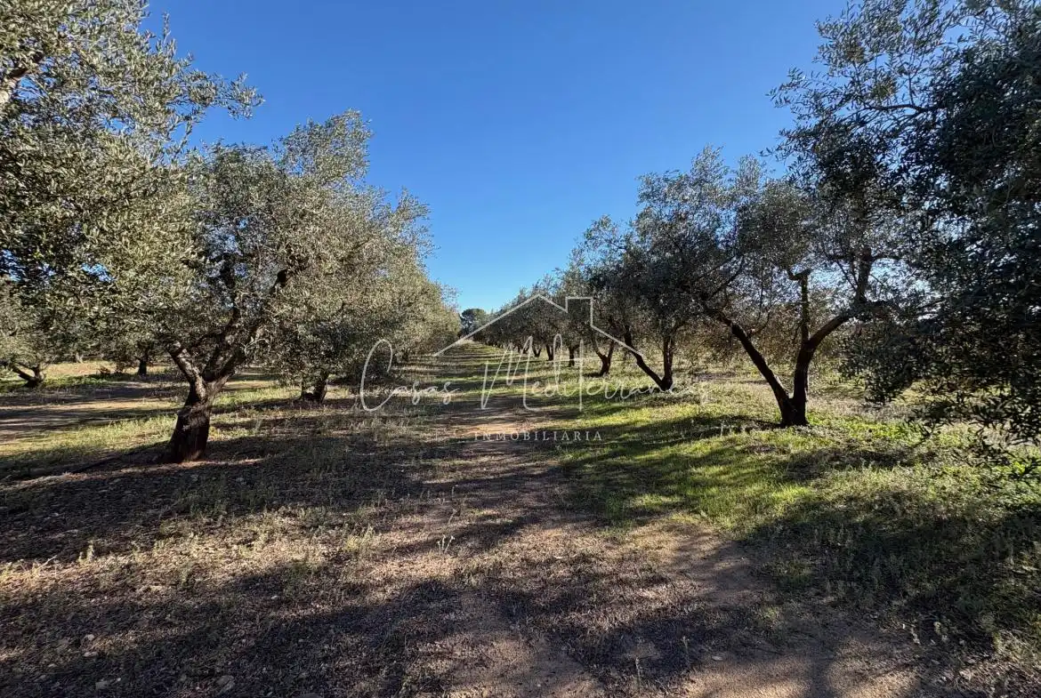 Country house for sale in Vinyols i els Arcs, imagen 7