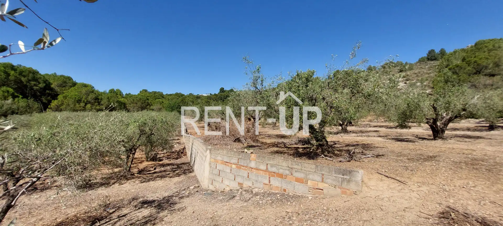 Terreny rústic en venda a Xàtiva, imagen 13