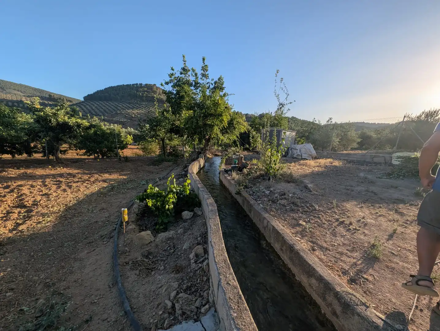 Terreni e lotti in vendita a Alcaudete
