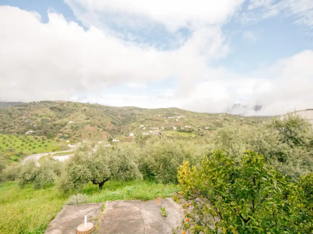 Vista exterior de Finca rústica en venda en Tolox