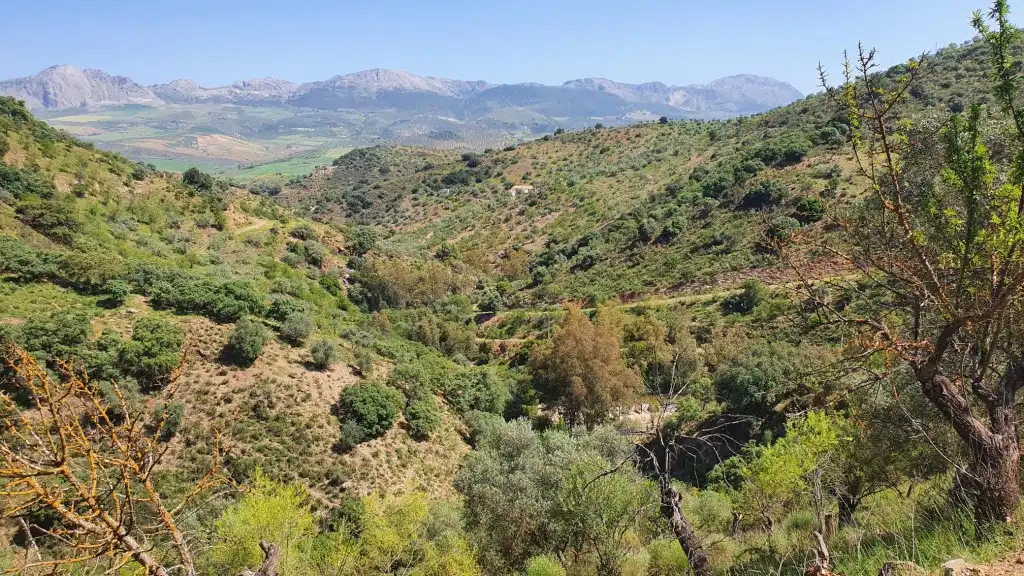 Casa rústica con jardín en venta en Ciudad Jardín, imagen 6