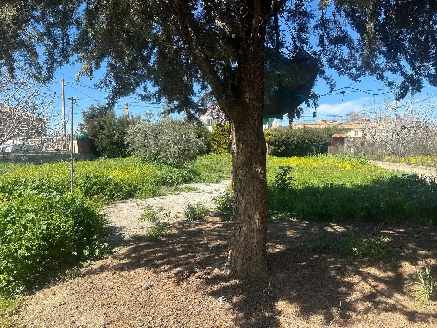 Lands and plots for sale in Calle VISTA NEVADA, imagen 7
