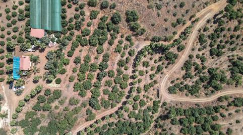 Photo 2 of House or chalet for sale in Diseminado Poligono, Álora, Málaga