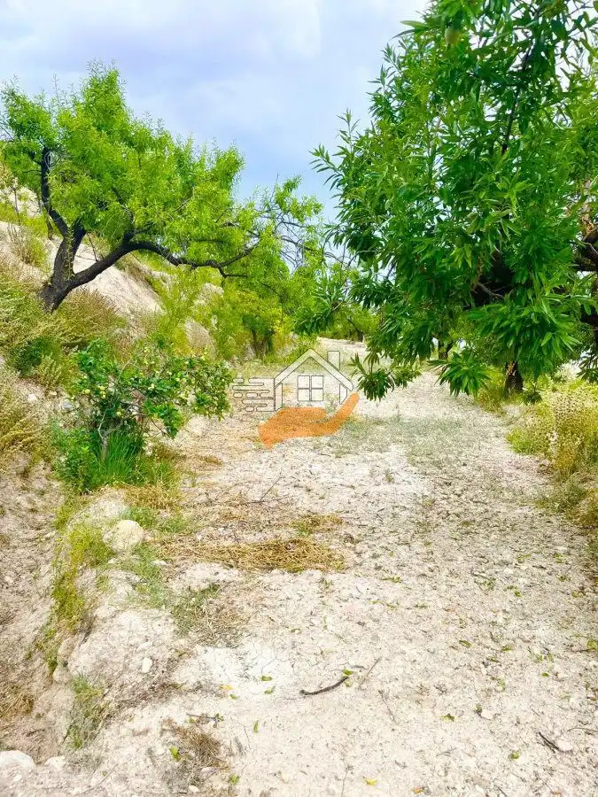 Lands and plots for sale in Vélez-Blanco, imagen 10