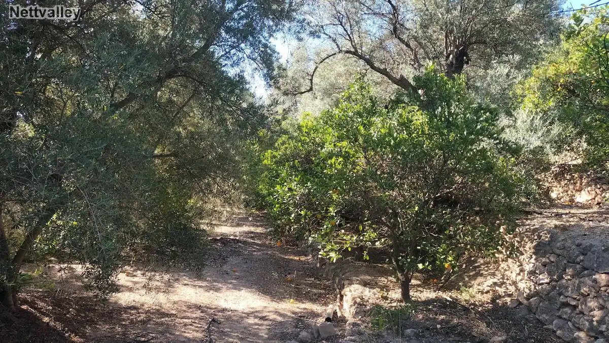 Terreni e lotti in vendita a LOMA DEL MEDIO, imagen 9