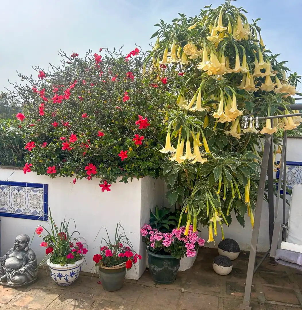 Jardín de Finca rústica en venta en Coín con Aire acondicionado, Trastero y Piscina
