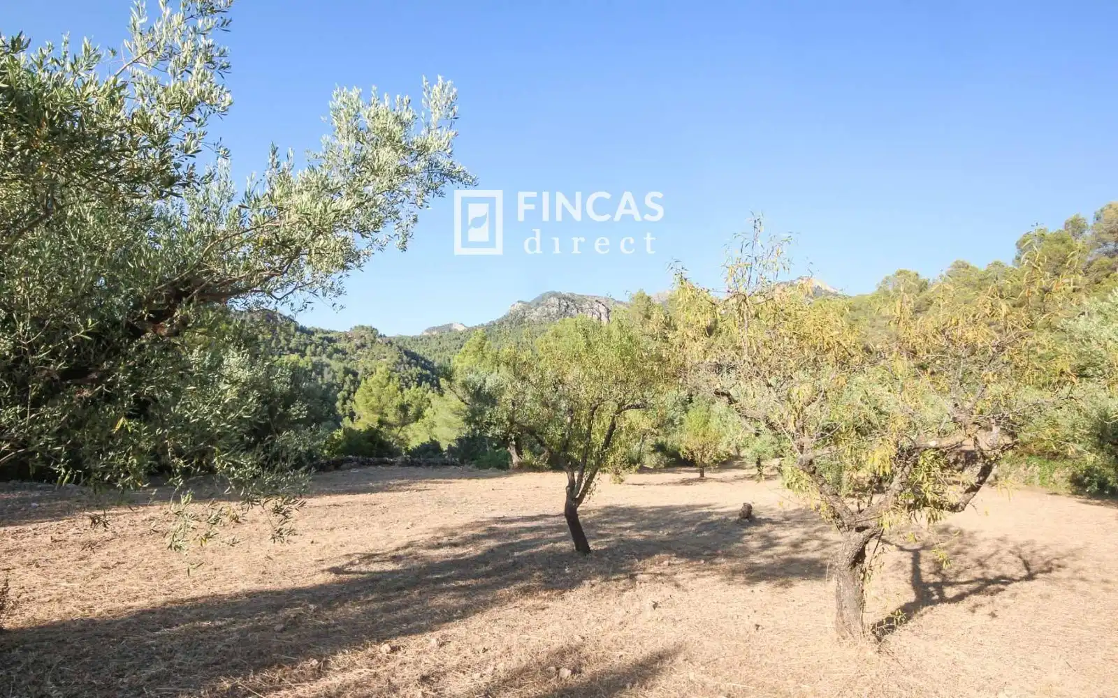 Finca rústica en venta en Benifallet con Calefacción, Trastero y Amueblado