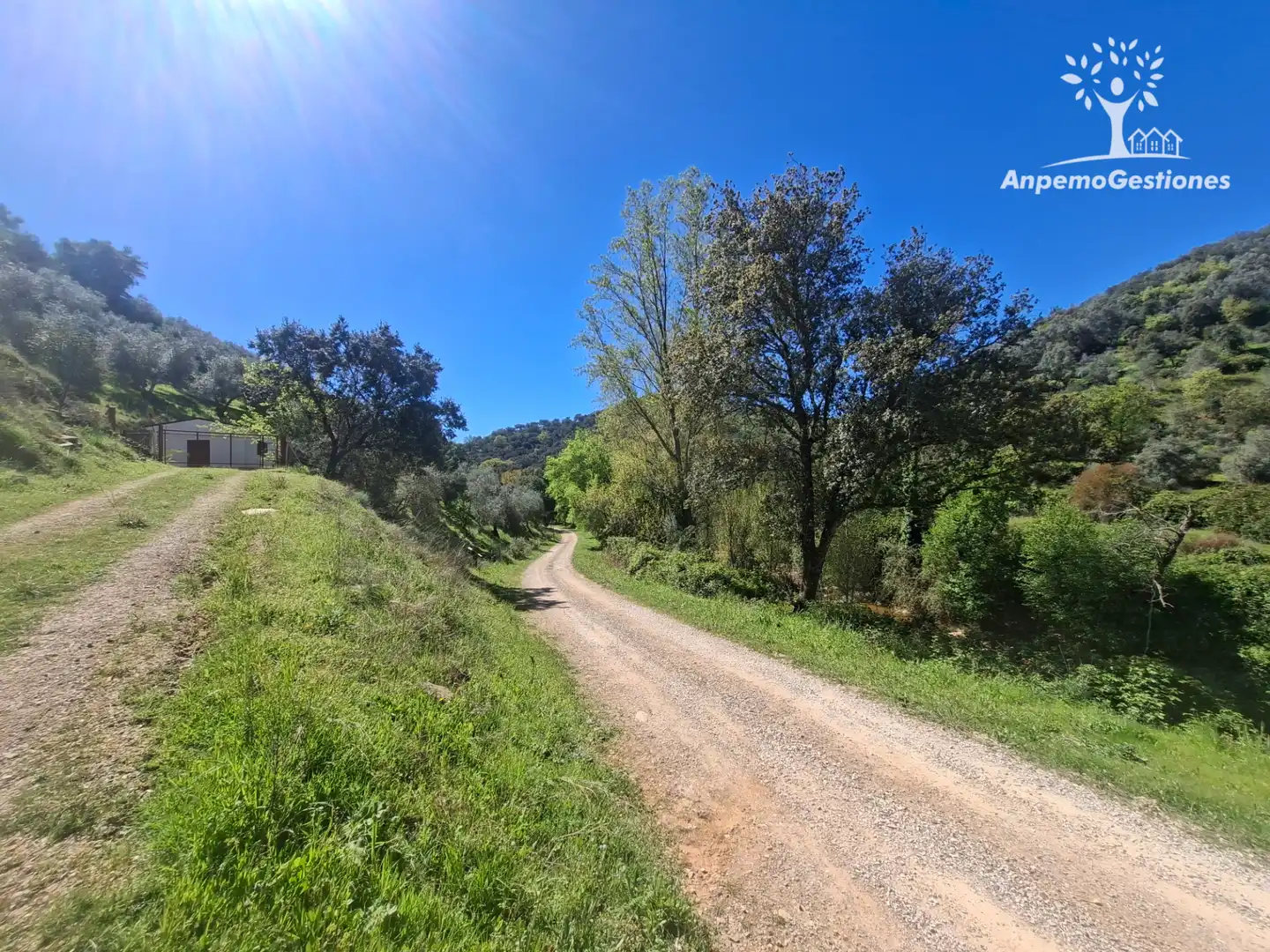 Terreni e lotti in vendita a Camino de la Ermita 18, imagen 25