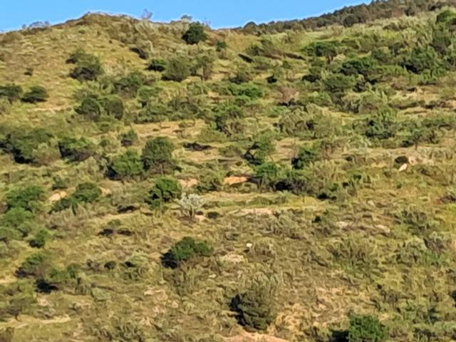 Terreno en Venta en Calle de San Antonio en Bayarque