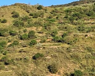 Grundstücke zum verkauf in Bayarque