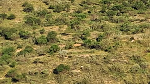 Terreno en Bayarque
