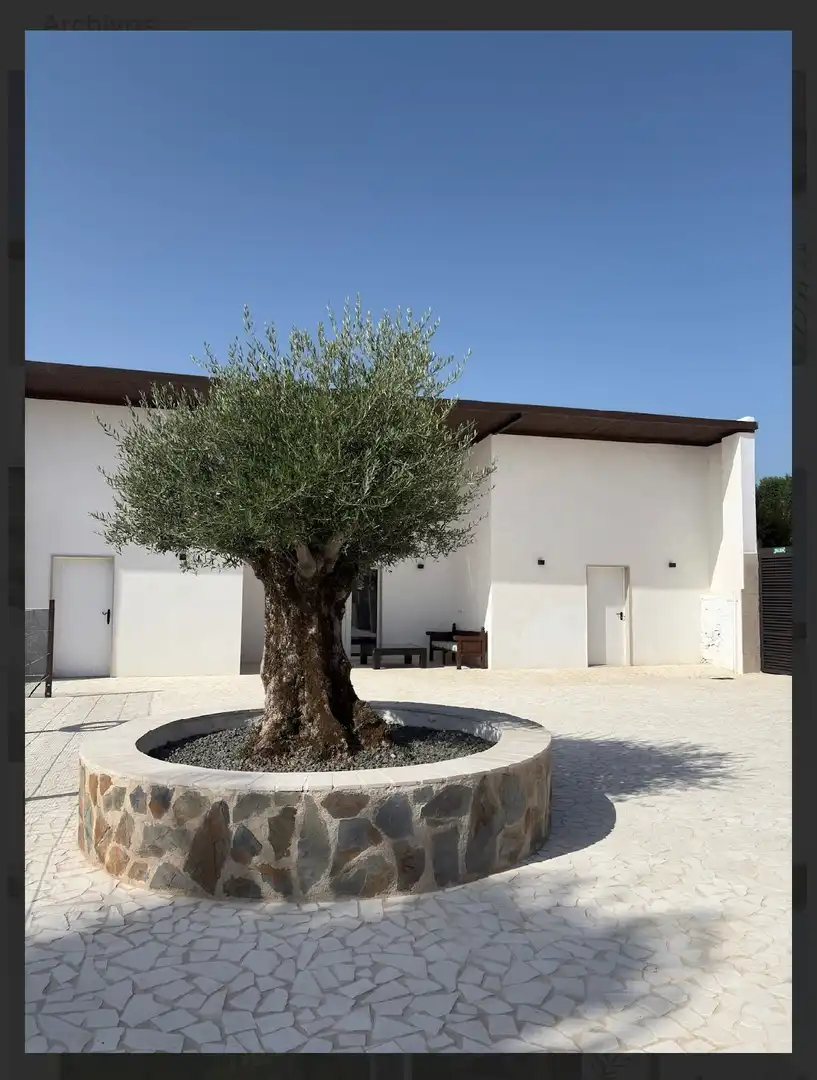Exterior view of Houses for rent in Moraleja  with Air Conditioner, Private garden and Storage room