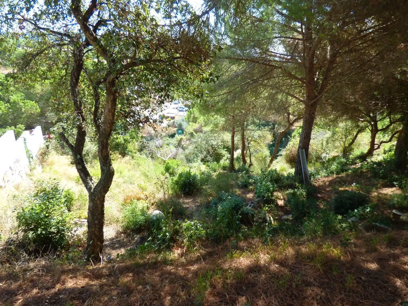 Terreno residencial en venta en Lloret Verd - Els Pinars, imagen 2