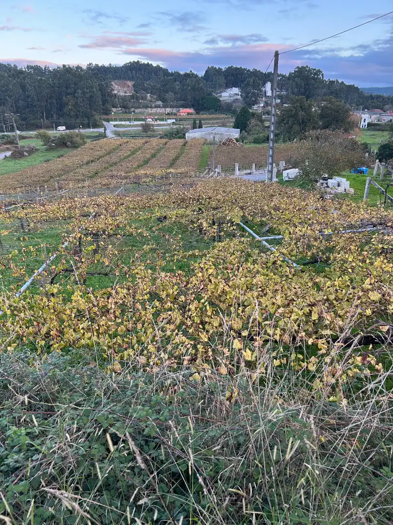 Terreni e lotti in vendita a Lugar Vilanoviña-Paradela, imagen 9