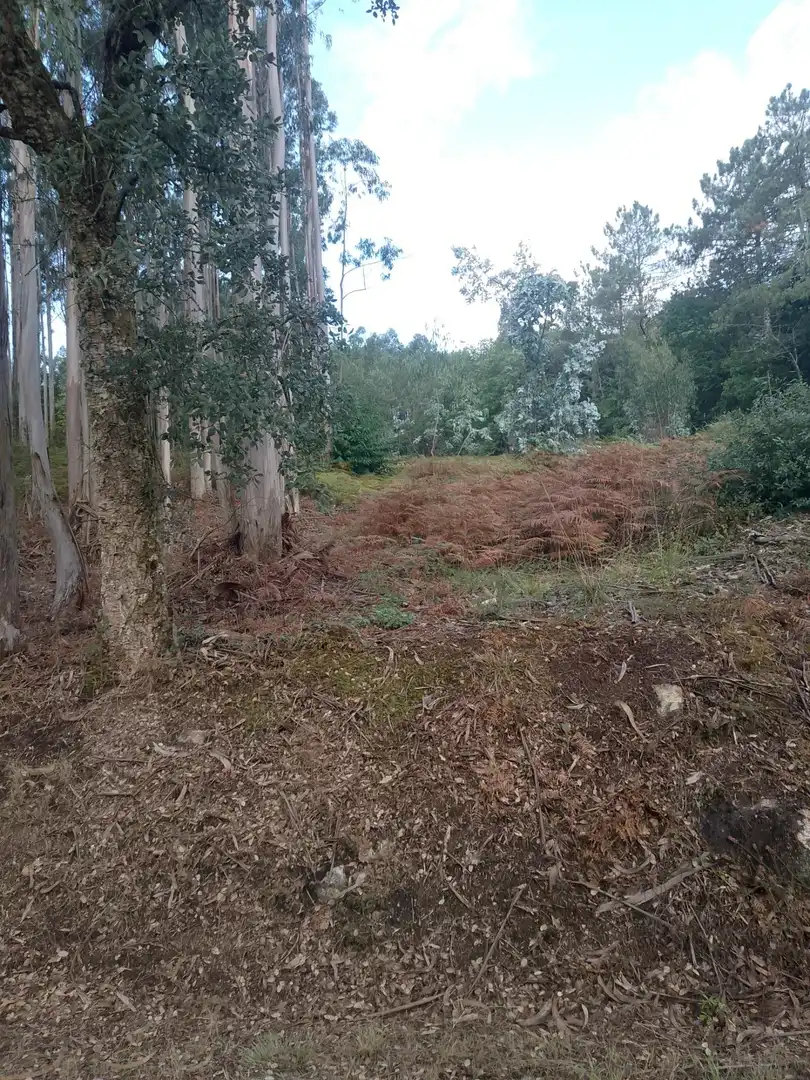 Terreno rustico in vendita a Meis, imagen 14