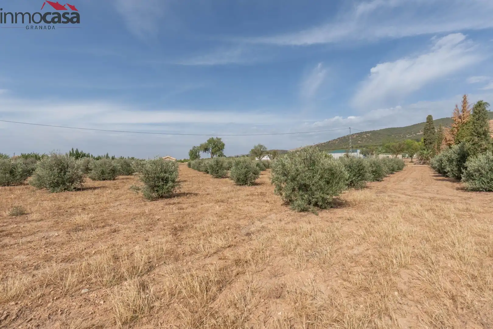 Casa o chalet en venta en Huéscar