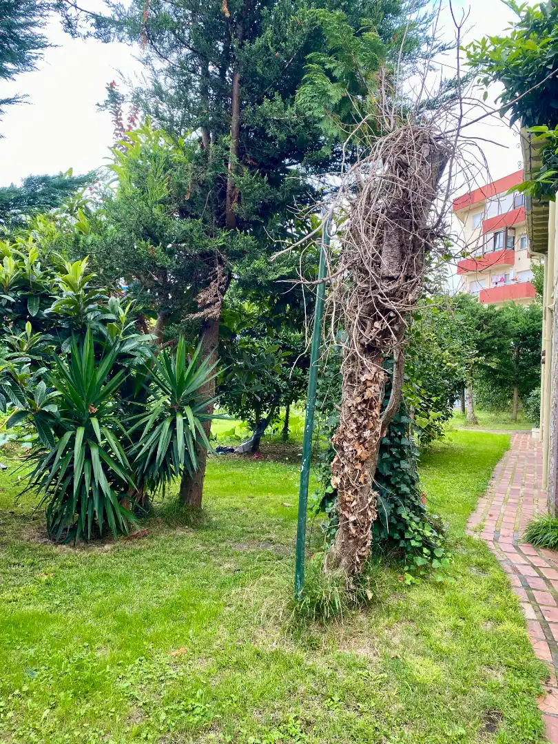 Jardín de Casa o chalet en venta en Torrelavega  con Calefacción, Jardín privado y Terraza