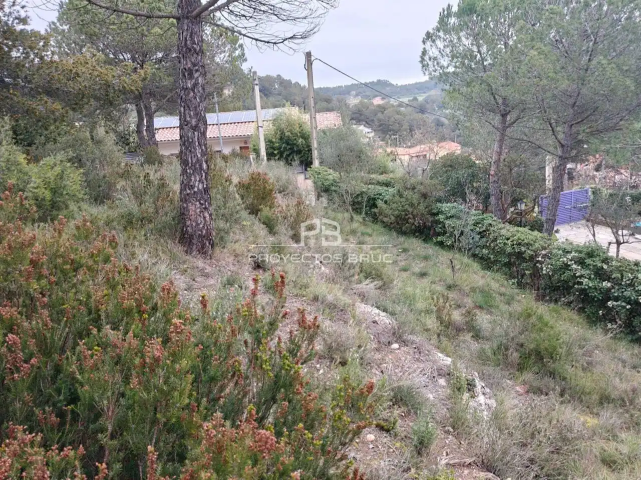 Rural land for sale in Calle La Guardia - esquina c/ Sant Pau, imagen 4