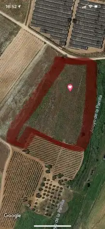 Terreni e lotti in vendita a Almonte ciudad, imagen 14