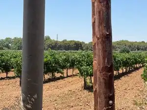 Terreno en venta en Banyeres del Penedès