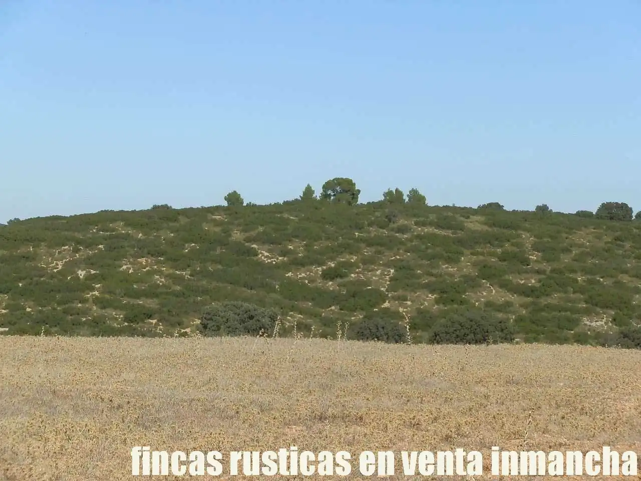 Terreno en venta en Albacete