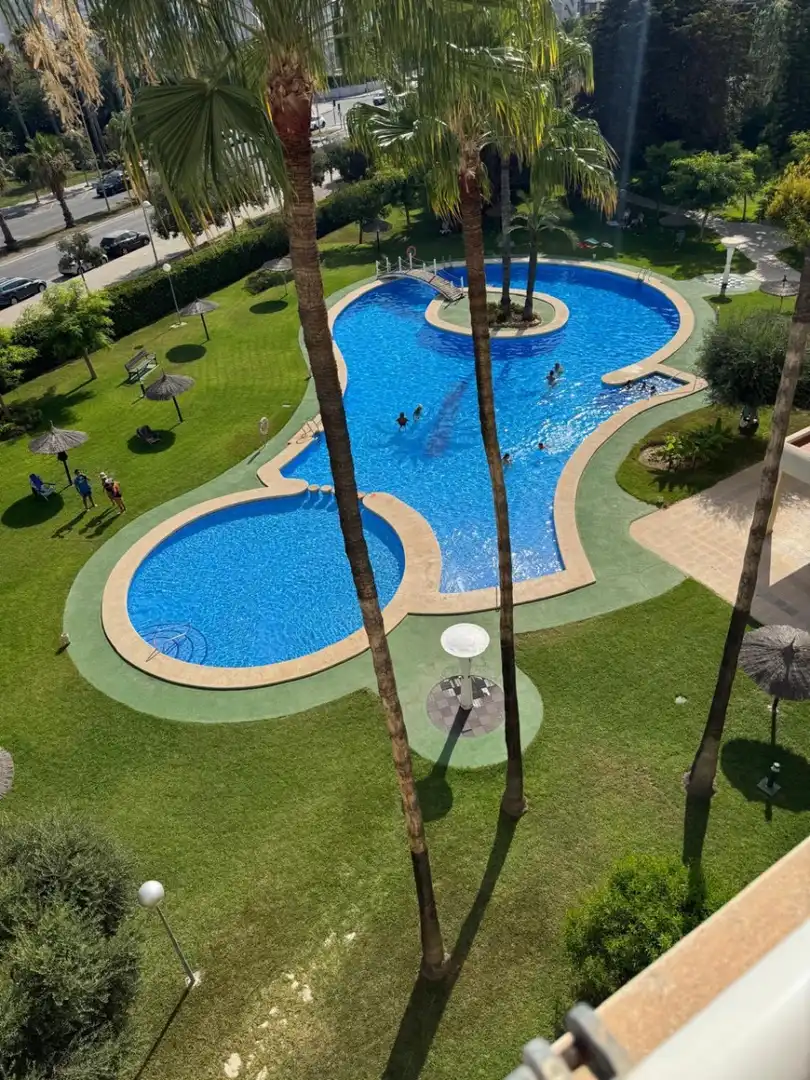 Mini appartamento con piscina in affitto a Playa de San Juan - El Cabo de las Huertas, imagen 14