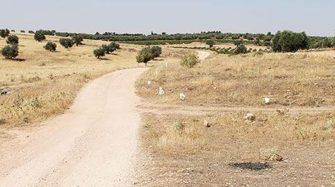 Foto 5 de Residencial en venta en Calle Mayor de San Juan, Almadén, Ciudad Real