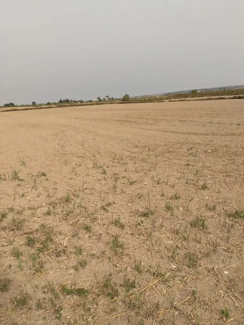 Terreno en venta en Elche / Elx