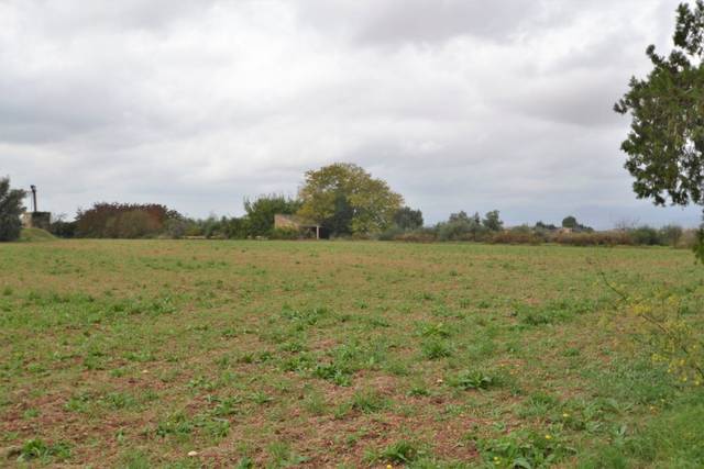 Casa-chalet en Venta en Polígono 4, parcela, 959 en Muro