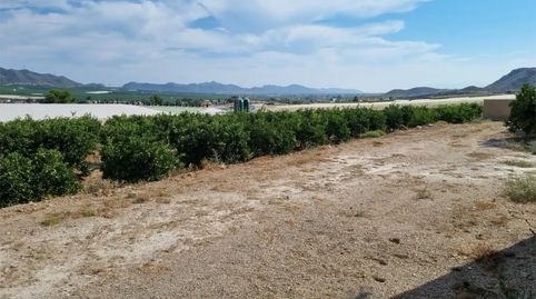 Foto 3 de Finca rústica en venda a Diseminado Almendricos, 2, Pozo Higuera, Lorca