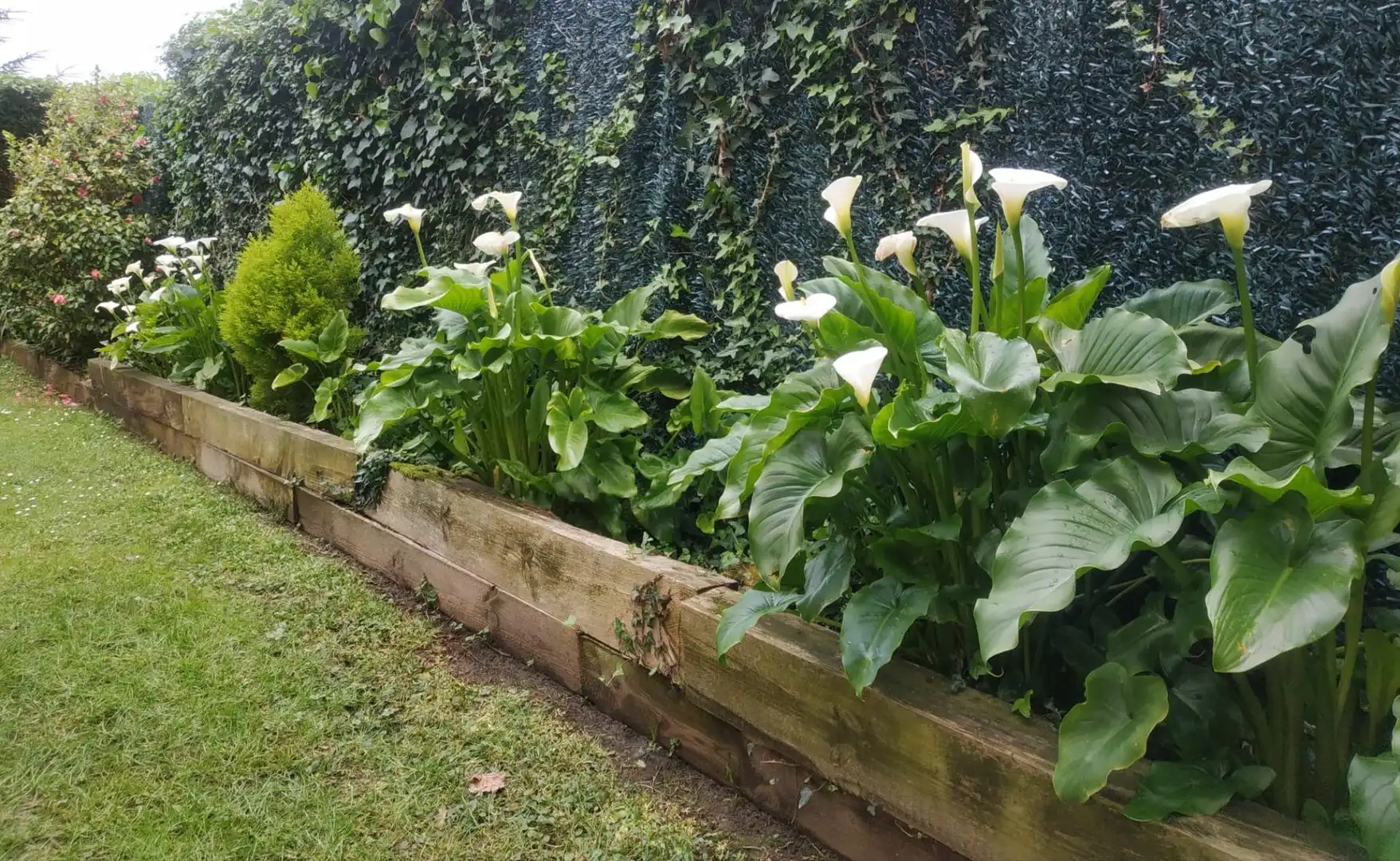 Villa mit Garten zum Verkauf in Urbanización Pinamar 7, imagen 66