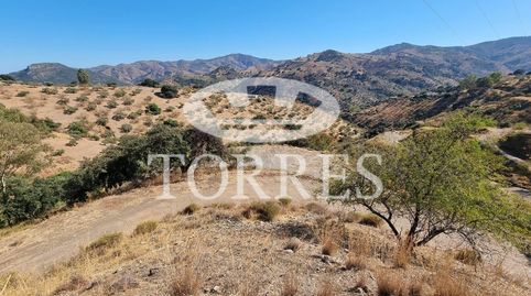 Foto 4 de Residencial en venta en Polígono Parcela 32, 11, Colmenar, Málaga