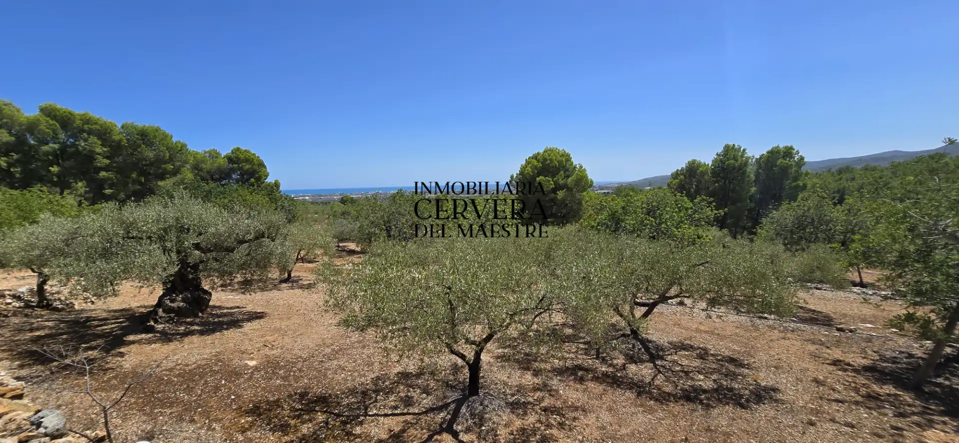 Rural land for sale in Vía Po Polígono 17 60, imagen 18