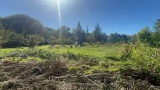 Grundstücke zum Verkauf in Mungia