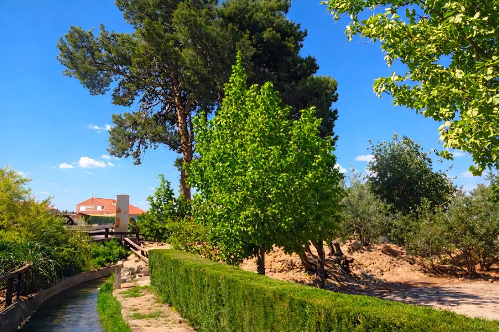 Garten von Gebäude zum Verkauf in Ricla