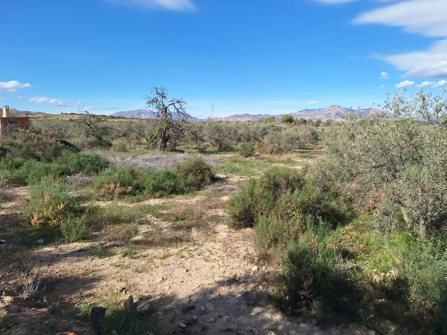 Finca rústica en venta en Alicante / Alacant con Trastero