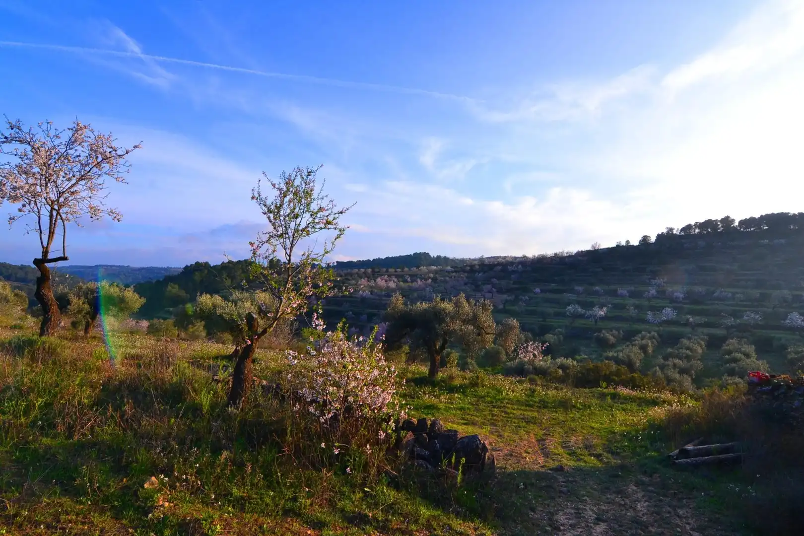 Rural land for sale in Corbera d'Ebre, imagen 71