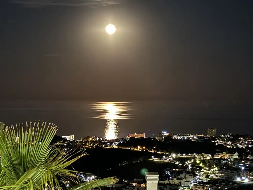 Penthouse mit Pool zum Verkauf in Montealto - Monterrey, imagen 35