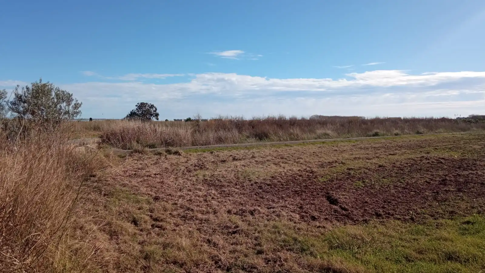 Terreny residencial en venda a Proc. Simplificado. Polígono 3 Parcela