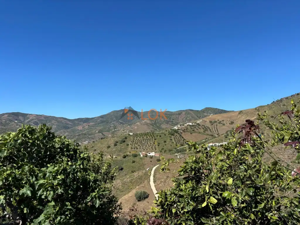Houses for sale in El Borge  with Terrace and Swimming Pool