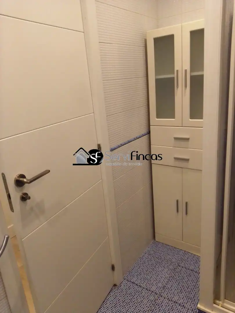 Flat for rent in Madrid  with Air Conditioner, Terrace and Furnished