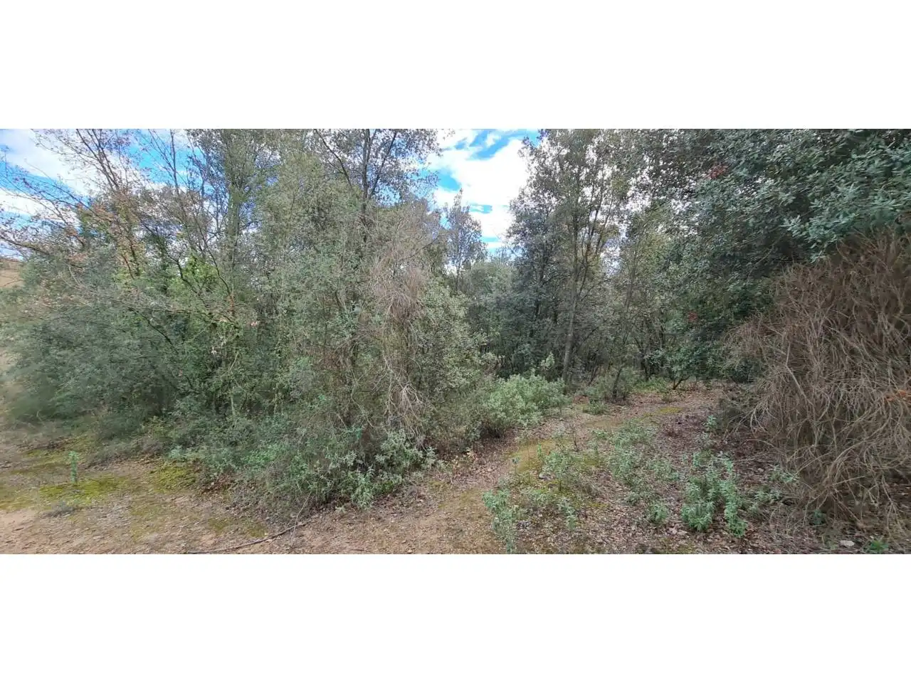 Rural land for sale in Lliçà d'Amunt, imagen 22