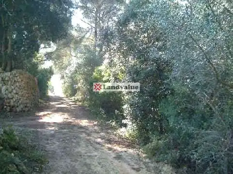 Rustikales Grundstück zum Verkauf in LA ROTA. POL 10 PARC 873