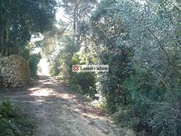 Rustikales Grundstück zum Verkauf in LA ROTA. POL 10 PARC 873