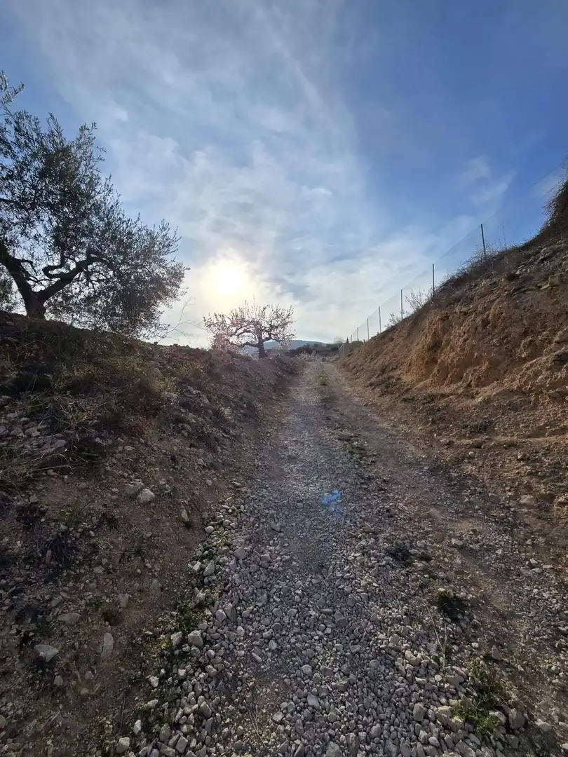 Rural land for sale in Novelda, imagen 10