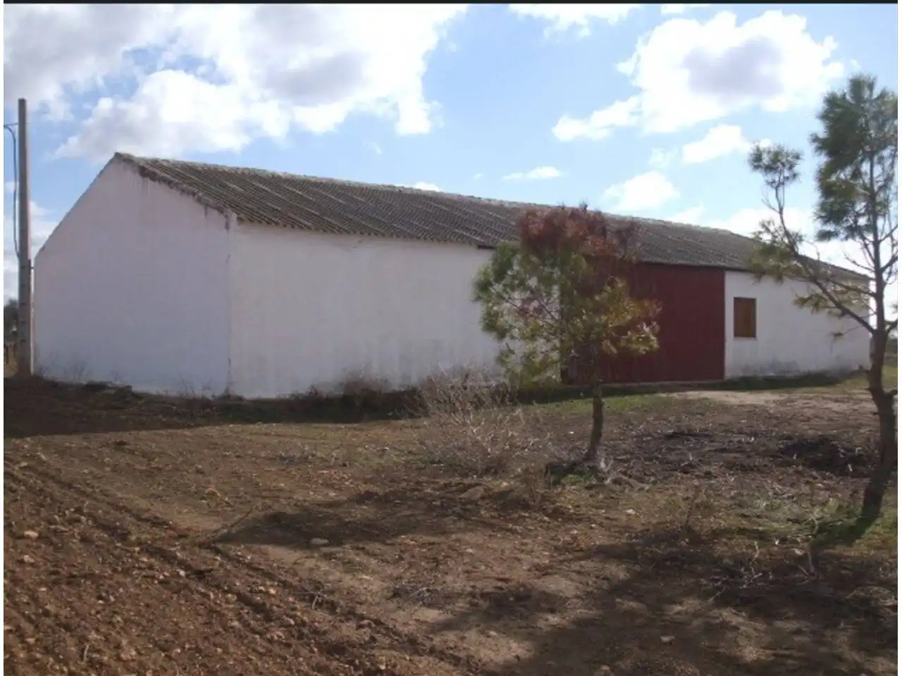 Terreno rustico in vendita a Alcázar de San Juan, imagen 11